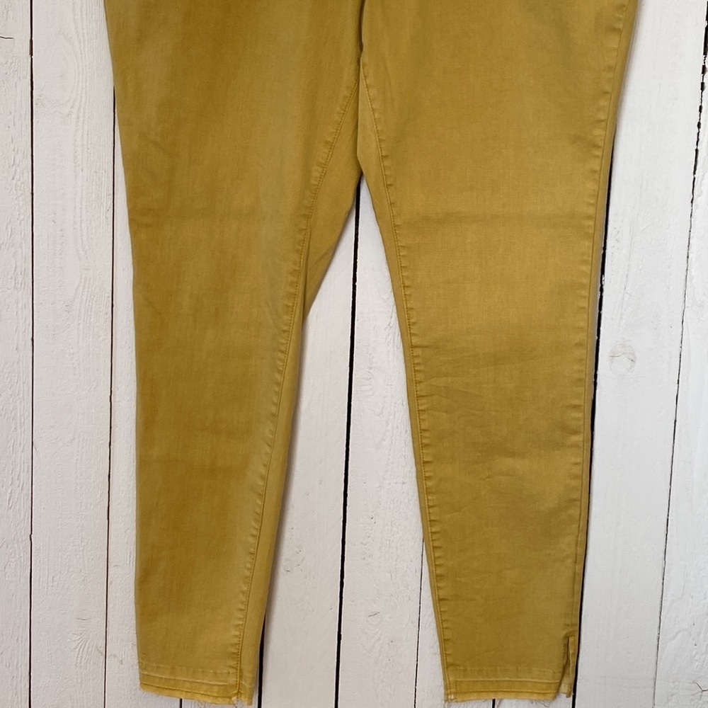 Cato Pants - Picture 3 of 8